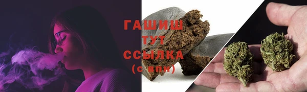 прущие грибы Абаза
