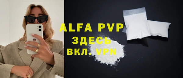 прущие грибы Абаза