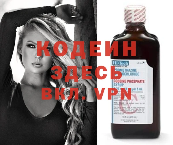 прущие грибы Абаза