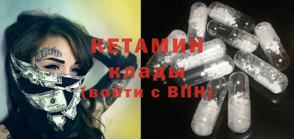 прущие грибы Абаза