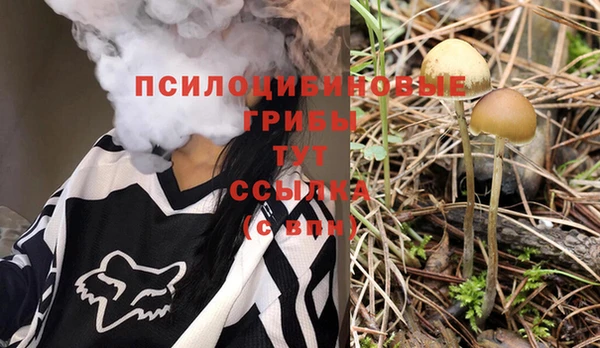 прущие грибы Абаза