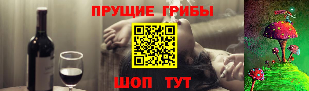 Галлюциногенные грибы Psilocybe  Вход с VPN  Ртищево 