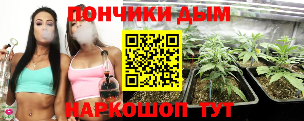Бошки Шишки гибрид  Марихуана VHQ  Вход с VPN  Ртищево 